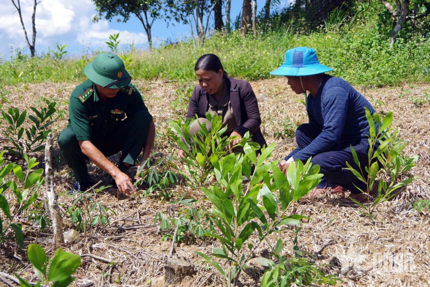 Gieo mầm bình yên, no ấm nơi biên cương